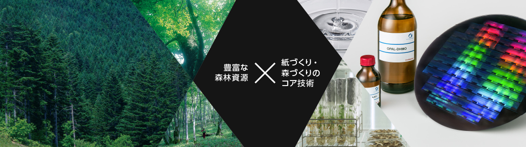 豊富な森林資源 × 紙づくり・森づくりのコア技術